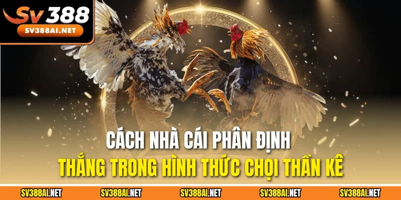 Cách nhà cái phân định thắng trong hình thức chọi thần kê Cách nhà cái phân định thắng trong hình thức chọi thần kê