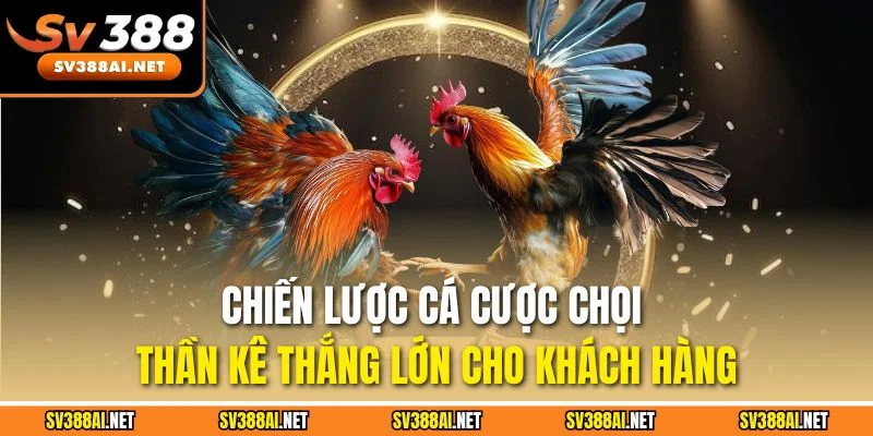 Chiến lược cá cược chọi thần kê thắng lớn cho khách hàng Chiến lược cá cược chọi thần kê thắng lớn cho khách hàng