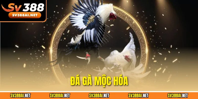 Đá Gà Mộc Hóa – Mẹo Cược Hiệu Quả Giúp Bạn Luôn Thắng Kèo