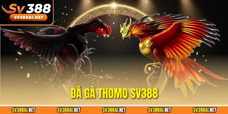 Đá Gà Thomo SV388 - Sân Chơi Gà Chọi Cho Khách Hàng Đam Mê