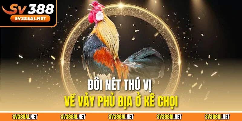 Đôi nét thú vị về vảy phủ địa ở kê chọi Đôi nét thú vị về vảy phủ địa ở kê chọi