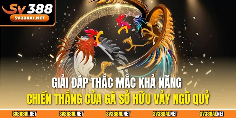 Giải đáp thắc mắc khả năng chiến thắng của gà sở hữu vảy ngũ quỷ Giải đáp thắc mắc khả năng chiến thắng của gà sở hữu vảy ngũ quỷ