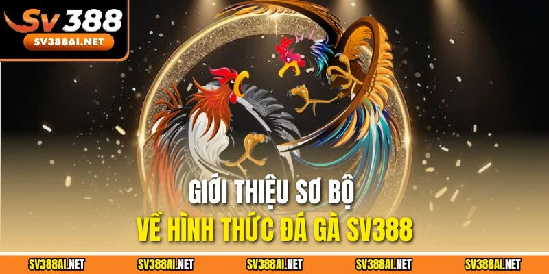 Giới thiệu sơ bộ về hình thức đá gà SV388 Giới thiệu sơ bộ về hình thức đá gà SV388