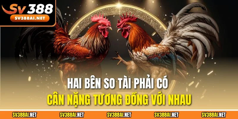 Hai bên so tài phải có cân nặng tương đồng với nhau Hai bên so tài phải có cân nặng tương đồng với nhau