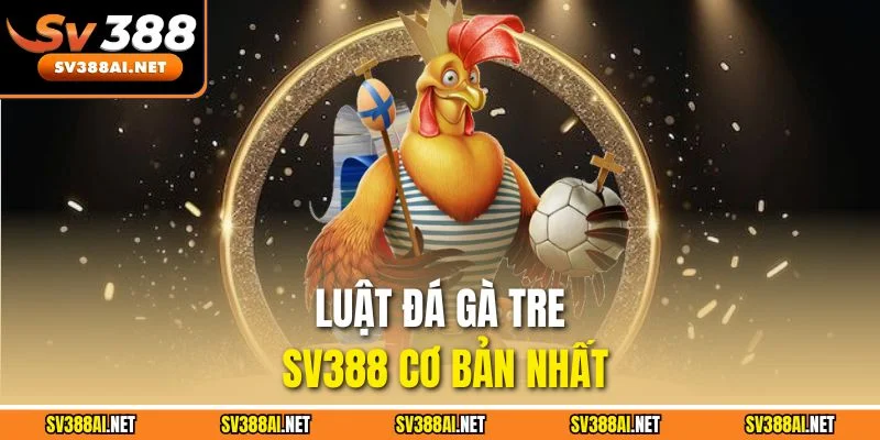 Luật đá gà tre SV388 cơ bản nhất Luật đá gà tre SV388 cơ bản nhất