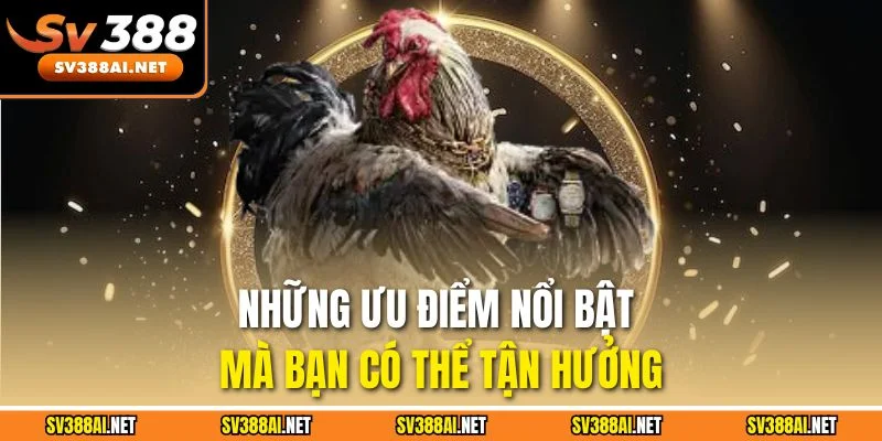 Những ưu điểm nổi bật mà bạn có thể tận hưởng Những ưu điểm nổi bật mà bạn có thể tận hưởng