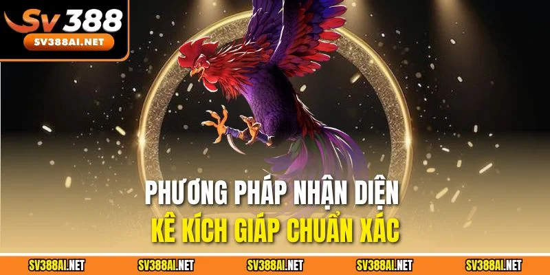 Phương pháp nhận diện kê kích giáp chuẩn xác