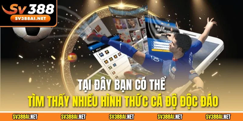 Tại đây bạn có thể tìm thấy nhiều hình thức cá độ độc đáo Tại đây bạn có thể tìm thấy nhiều hình thức cá độ độc đáo