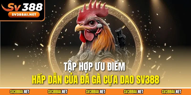 Tập hợp ưu điểm hấp dẫn của đá gà cựa dao SV388 Tập hợp ưu điểm hấp dẫn của đá gà cựa dao SV388