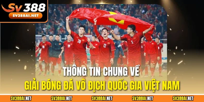 Thông tin chung về giải bóng đá vô địch quốc gia Việt Nam