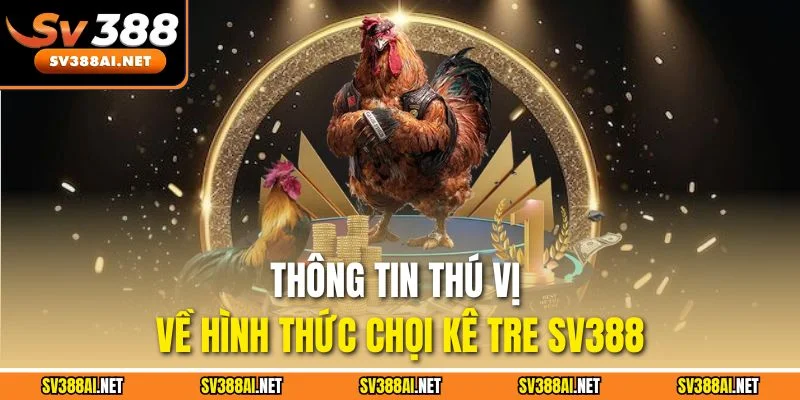 Thông tin thú vị về hình thức chọi kê tre SV388 Thông tin thú vị về hình thức chọi kê tre SV388