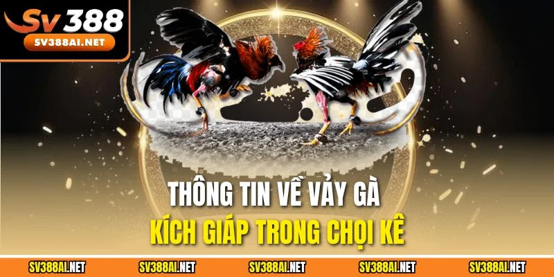 Thông tin về vảy gà kích giáp trong chọi kê