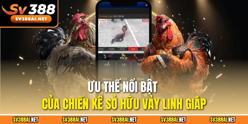 Ưu thế nổi bật của chiến kê sở hữu vảy linh giáp Ưu thế nổi bật của chiến kê sở hữu vảy linh giáp